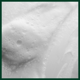 AVEDA Scalp Solutions Balancing Shampoo lathered texture, showing rich white foam and creamy consistency