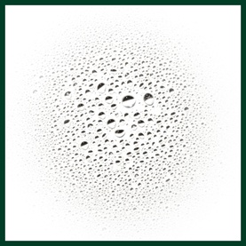Scalp Solutions Refreshing Protective Mist