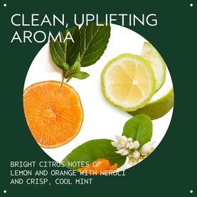 Aveda Scalp Solutions Replenishing Conditioner fragrance notes visual showing citrus fruits, mint leaves and neroli blossom on dark green background