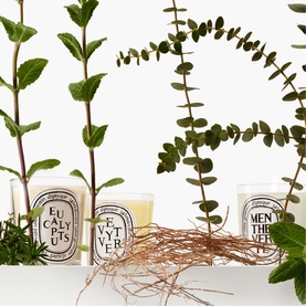 Eucalyptus Scented Classic Candle 190g