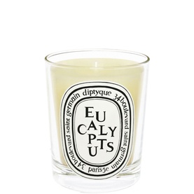 Eucalyptus Scented Classic Candle 190g