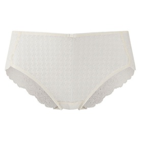 Envy Brief