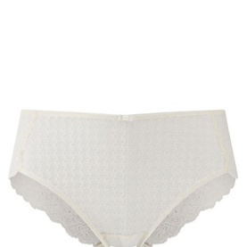 Envy Brief