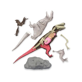 Discovery 4D T-Rex Anatomy Kit