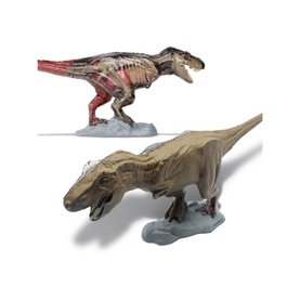 Discovery 4D T-Rex Anatomy Kit