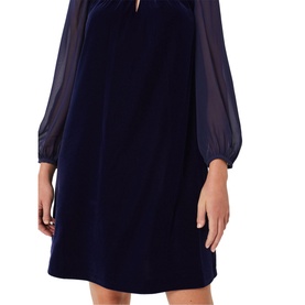 Faye Velvet Mini Dress