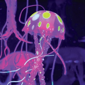 Jellyfish Aquarium