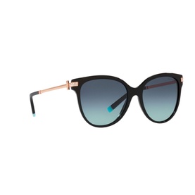 Pillow Sunglasses TF4193B