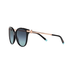 Pillow Sunglasses TF4193B