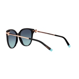 Pillow Sunglasses TF4193B