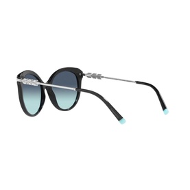 Cat Eye Sunglasses TF4189B