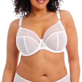 Matilda Plunge Bra