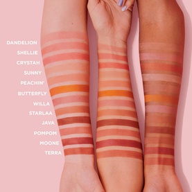 Benefit Bronze Blush swatches on two arms showing 12 shades from peach to deep terracotta, including Dandelion, Sunny, Butterfly, Java and more