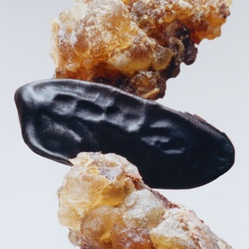 Myrrh & Tonka Diffuser