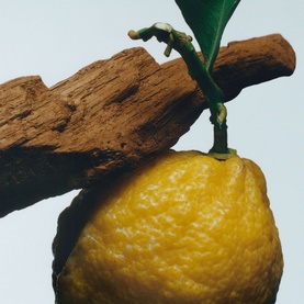 Oud & Bergamot Cologne Intense Classic Candle