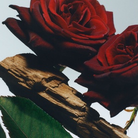 Velvet Rose & Oud Cologne Intense Classic Candle