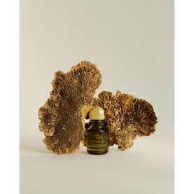 Sacred Mist Eau de Parfum