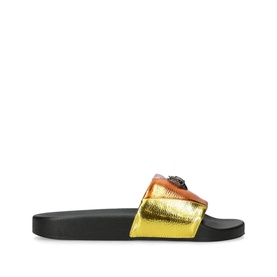 Meena Eagle Slides
