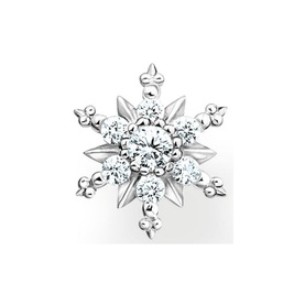 Charming Polar World Snowflake Earring