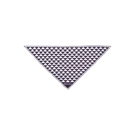 Printed Twill Scarf