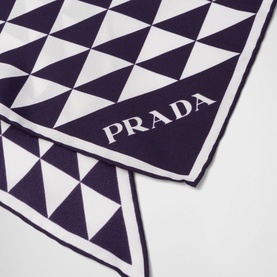Printed Twill Scarf