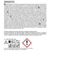 Ernesto Scented Candle 2.8kg