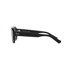 Irregular Sunglasses RB4397