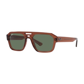 Irregular Sunglasses RB4397