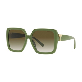 Square Sunglasses TF4206U