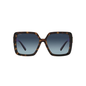 Square Sunglasses TF4206U