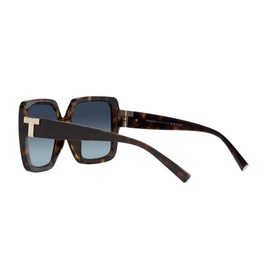 Square Sunglasses TF4206U