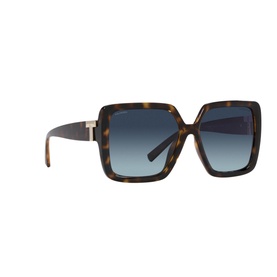 Square Sunglasses TF4206U