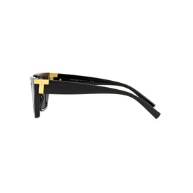 Irregular Sunglasses TF4205U