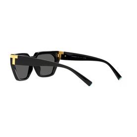 Irregular Sunglasses TF4205U