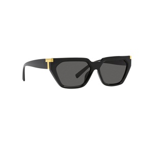 Irregular Sunglasses TF4205U