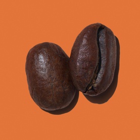 Meet Ginzing&trade; Set