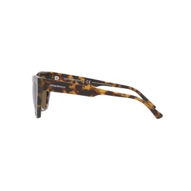 Cat Eye Sunglasses EA4176