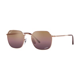 Irregular Sunglasses RB3694