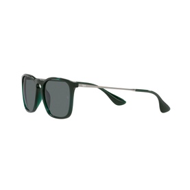 Square Sunglasses RB4187
