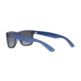 Square Sunglasses RB4165
