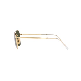 Irregular Sunglasses RB3694
