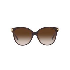 Pillow Sunglasses TF4193B
