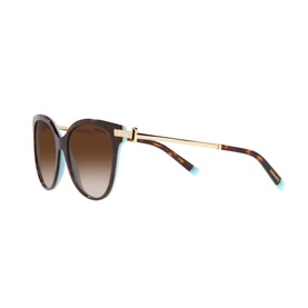Pillow Sunglasses TF4193B