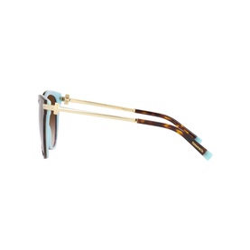 Pillow Sunglasses TF4193B