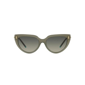 Cat Eye Sunglasses TF4195