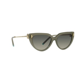 Cat Eye Sunglasses TF4195