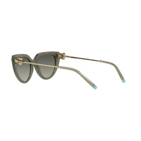 Cat Eye Sunglasses TF4195