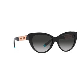 Cat Eye Sunglasses TF4196