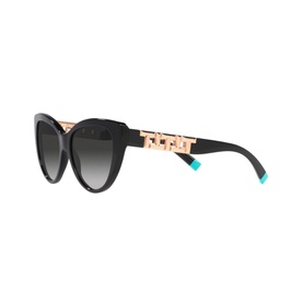 Cat Eye Sunglasses TF4196