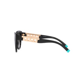 Cat Eye Sunglasses TF4196